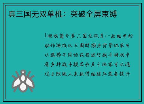 真三国无双单机：突破全屏束缚